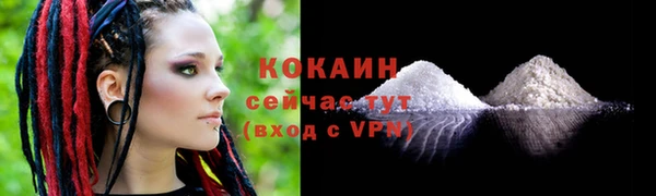 прущие грибы Нязепетровск