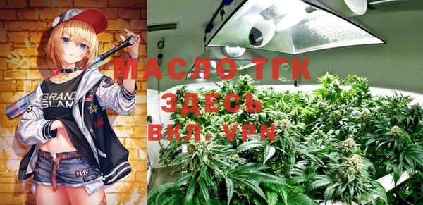 индика Зерноград