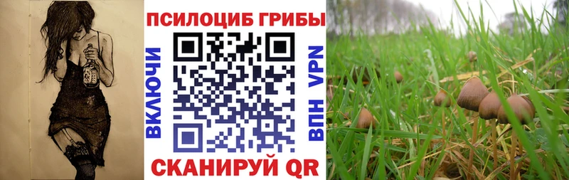 Галлюциногенные грибы GOLDEN TEACHER  сколько стоит  Медногорск 